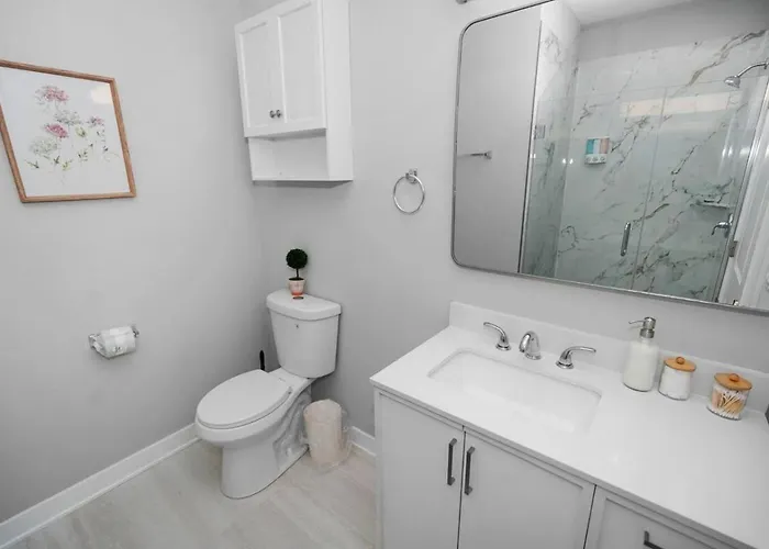 Spacious 3br Near United Center & Medical District